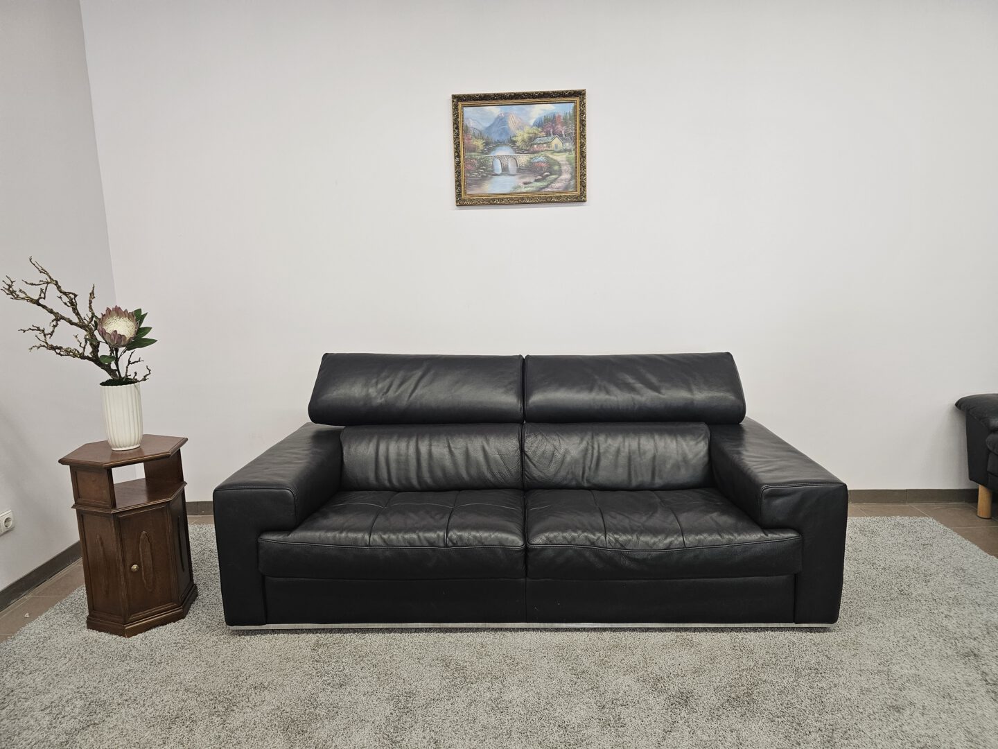 Natūralios odos sofa