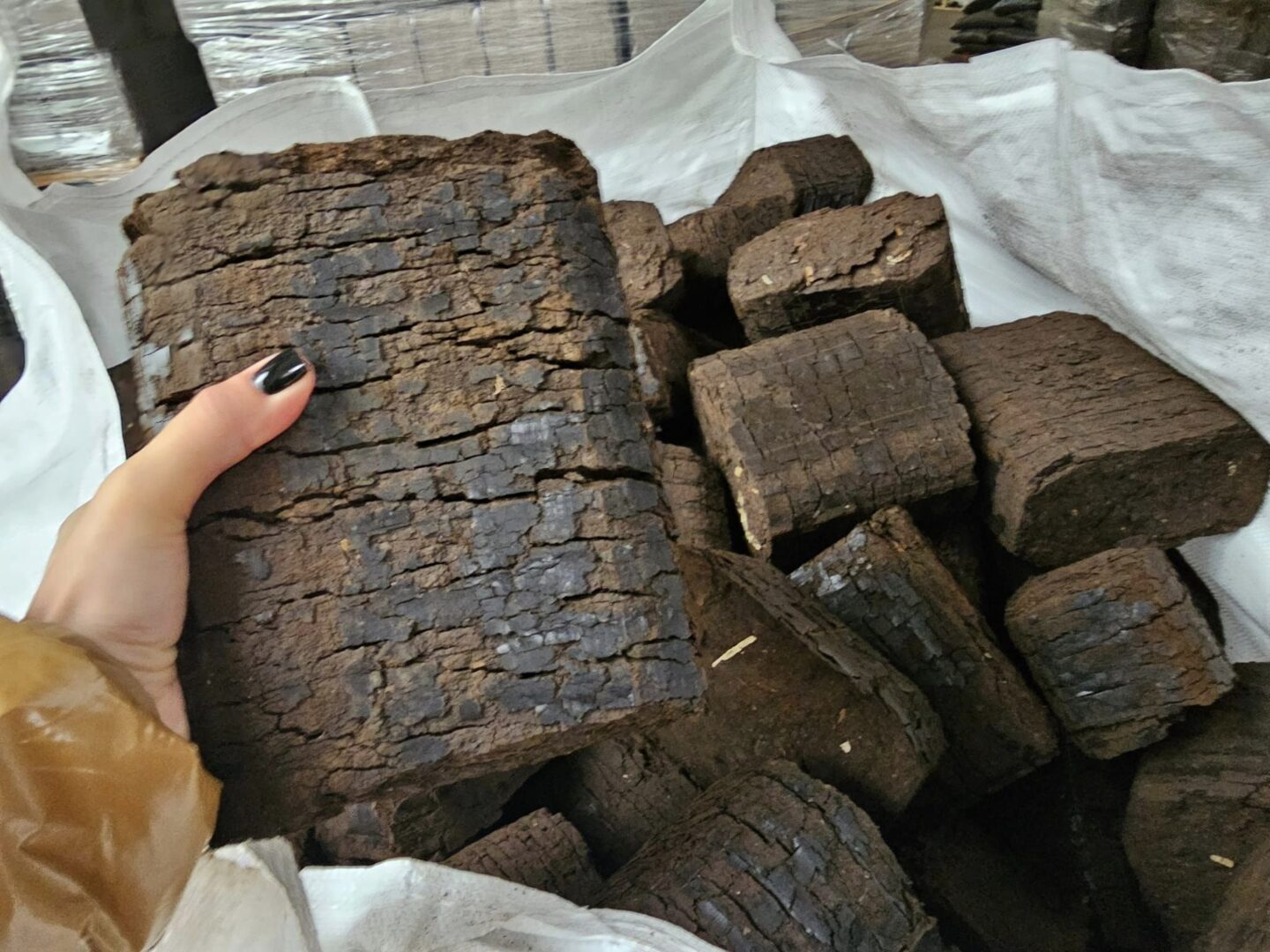 Parduodami durpių briketai
