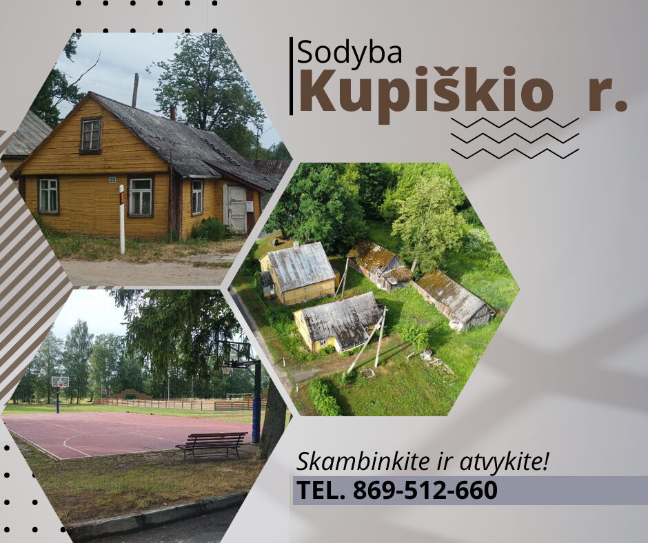 Namas Kupiškio r. Alizava – Biržų g. 20