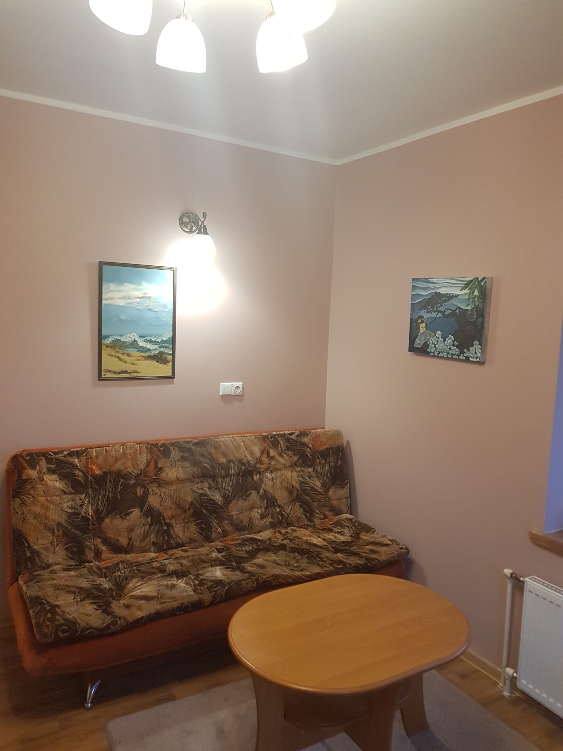 Išnuomojamas 1 kamb. butas Žaliakalnyje, Nuosavoje valdoje