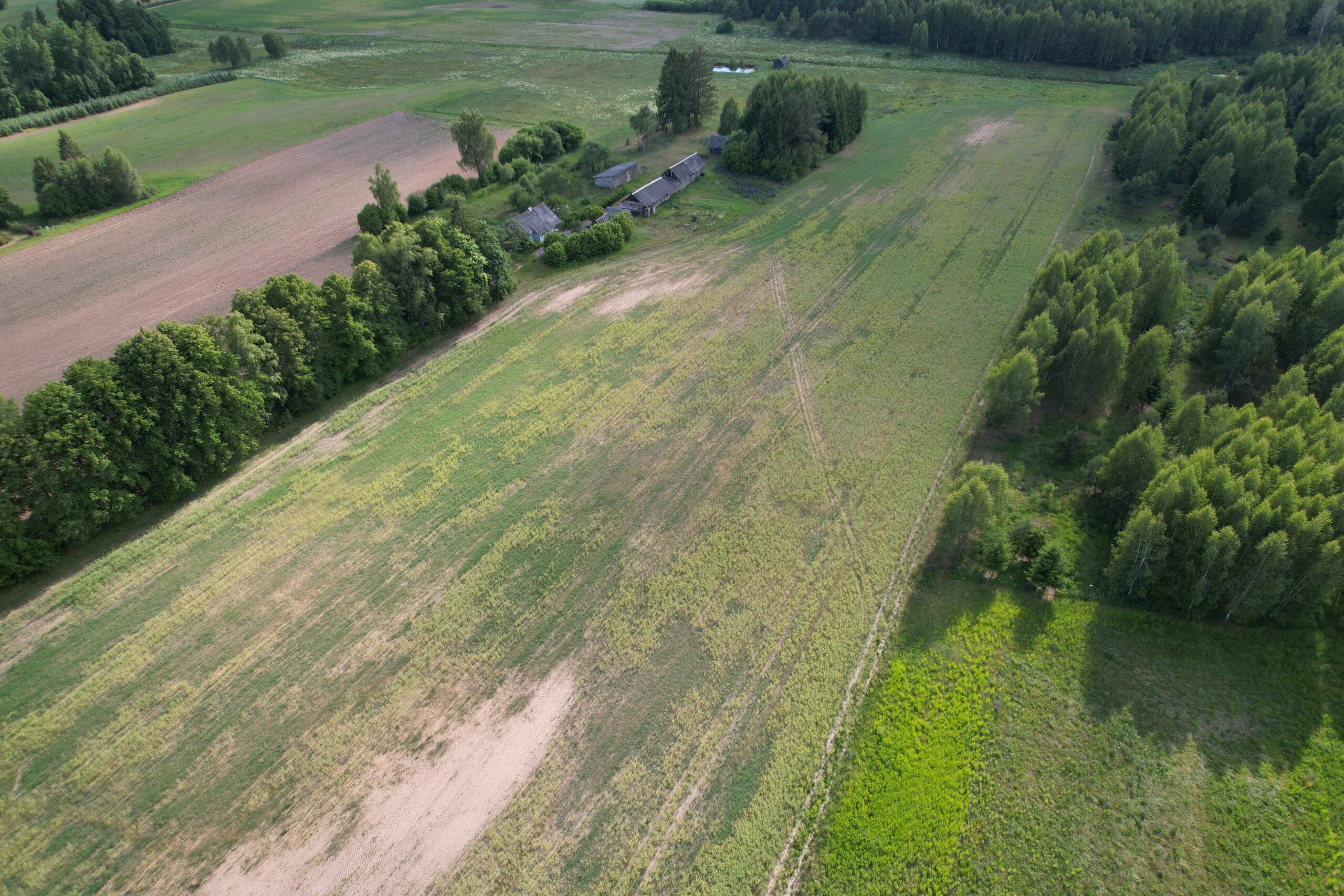 2.9000 HA Širvintų r. sav., Alionių sen., Trapelių k.,