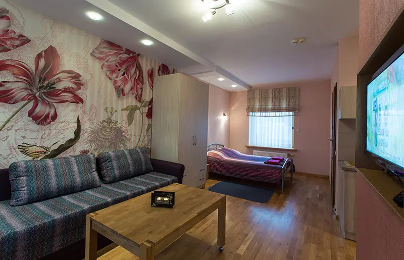 1 KAMBARIO APARTAMENTAI, 1.5 AUKŠTE, Druskininkai