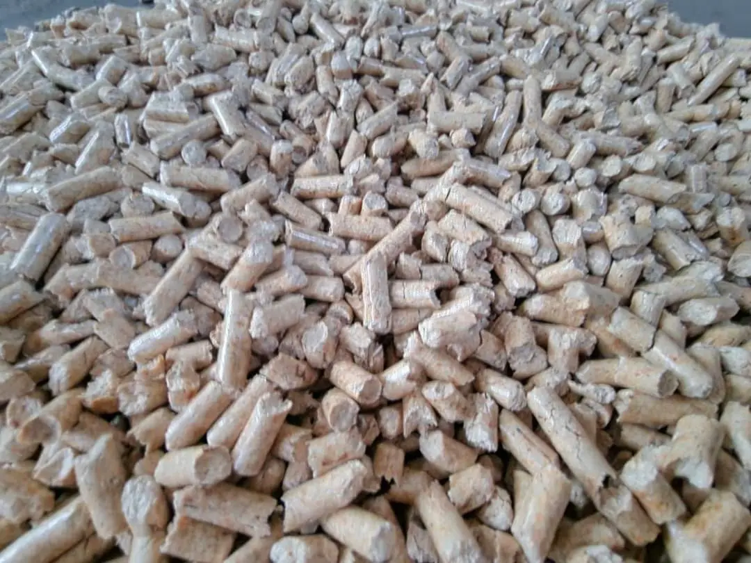 Kietas kuras namams