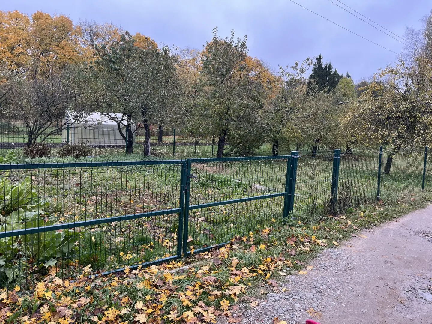 Sodo sklypas