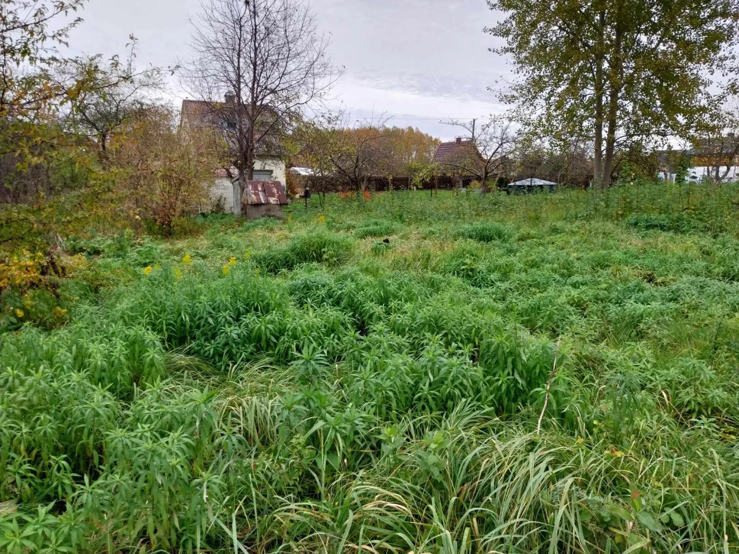 Parduodamas sodo sklypas Vaiteliuose, Klaipėdos raj.
