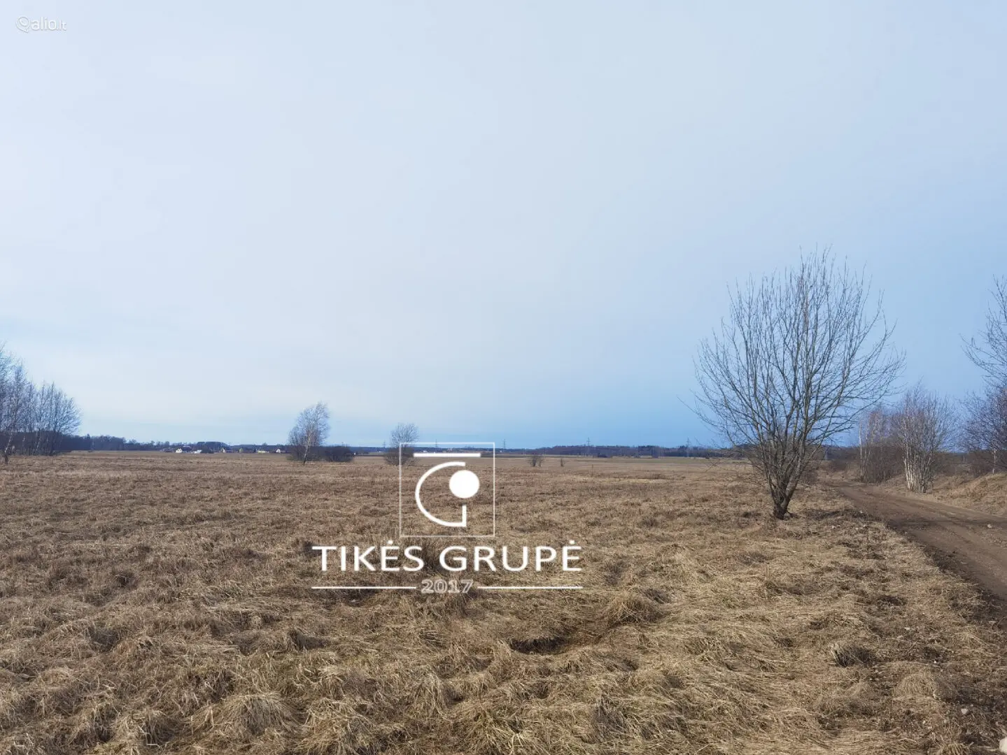 Klaipėdos raj., Rusliuose parduodamas 21.81 aro namų valdos sklypas ( 2 atskiri turto vienetai 10,8 aro ir 11,01 aro. Sklypams suteikti adresai, atlikti kadastriniai matavimai. Sklypai geroje, atokesnėje vietoje.