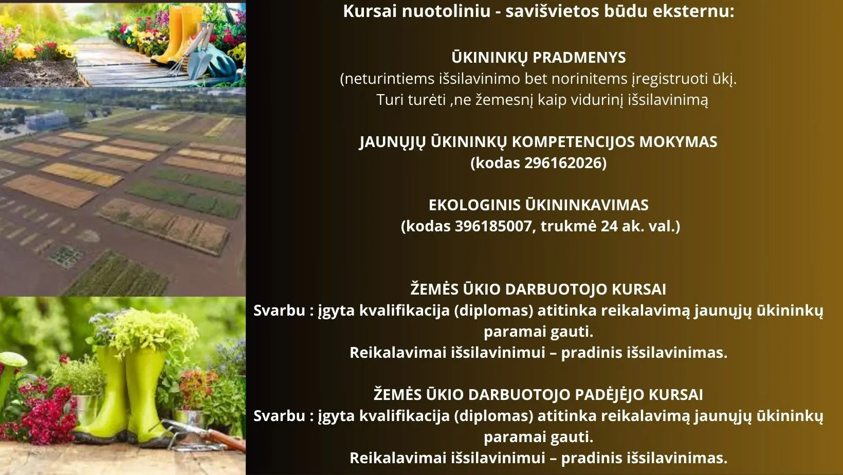 Kursai eksternu