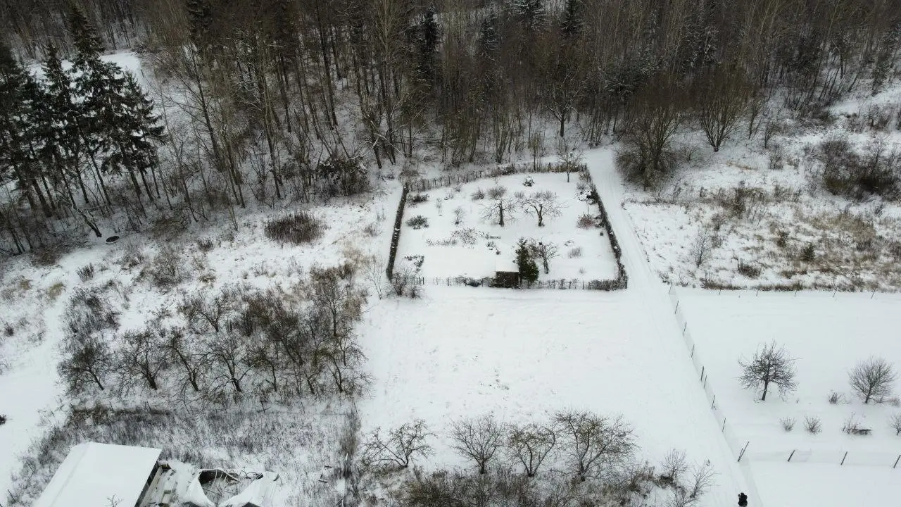 Sklypas Dembavoje Panevežio r.