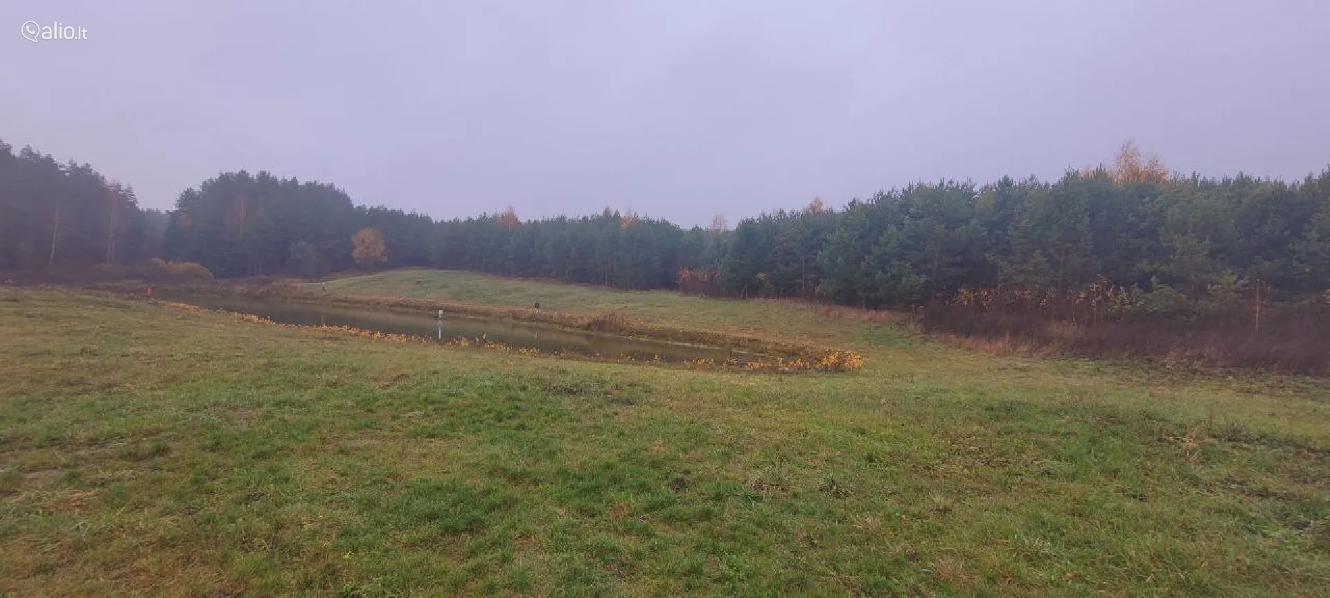 SKLYPAI VARĖNOS RAJ. TETERVINĖS K