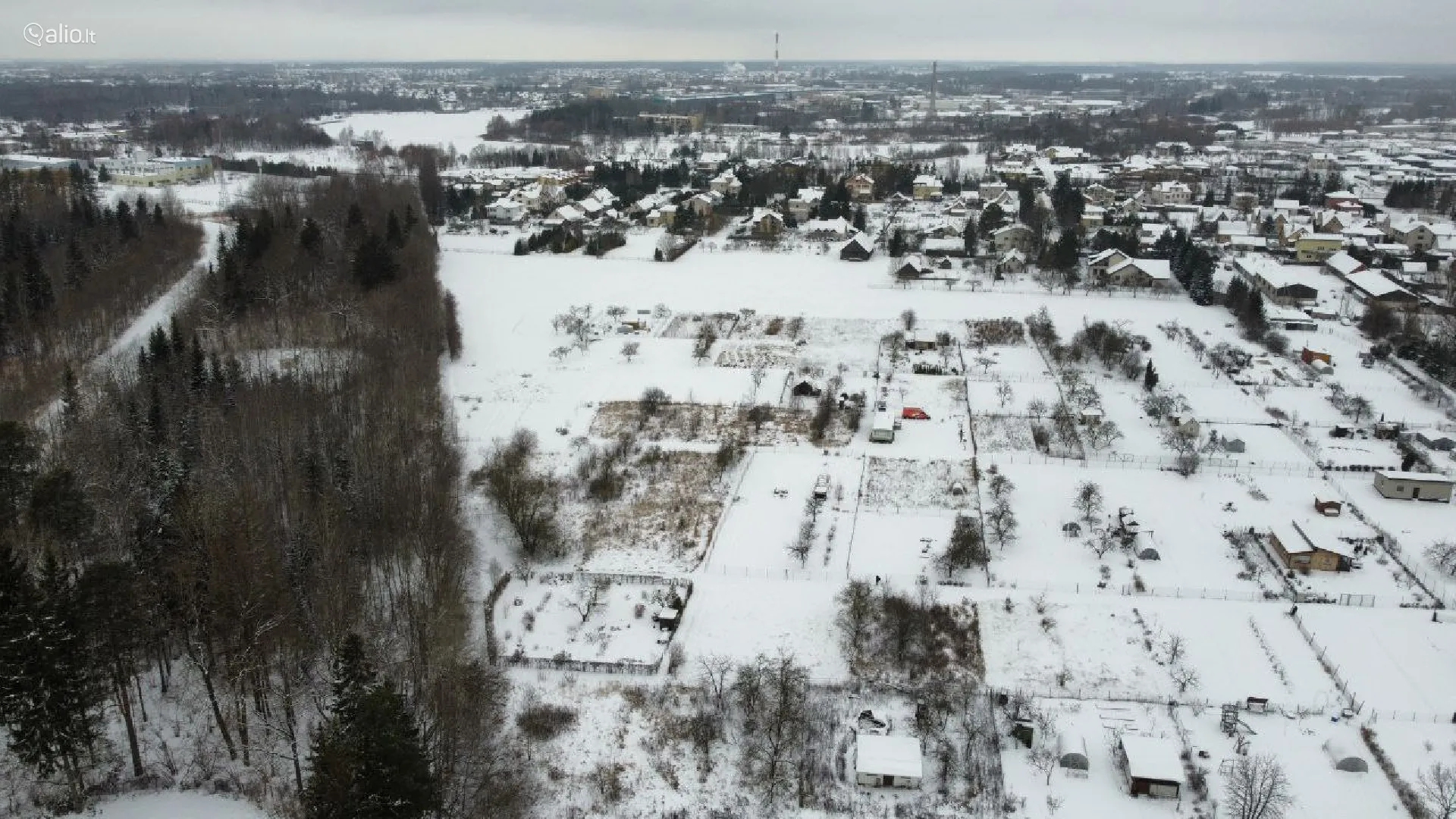 SKLYPAS DEMBAVOJE PANEVEZIO RAJ.
