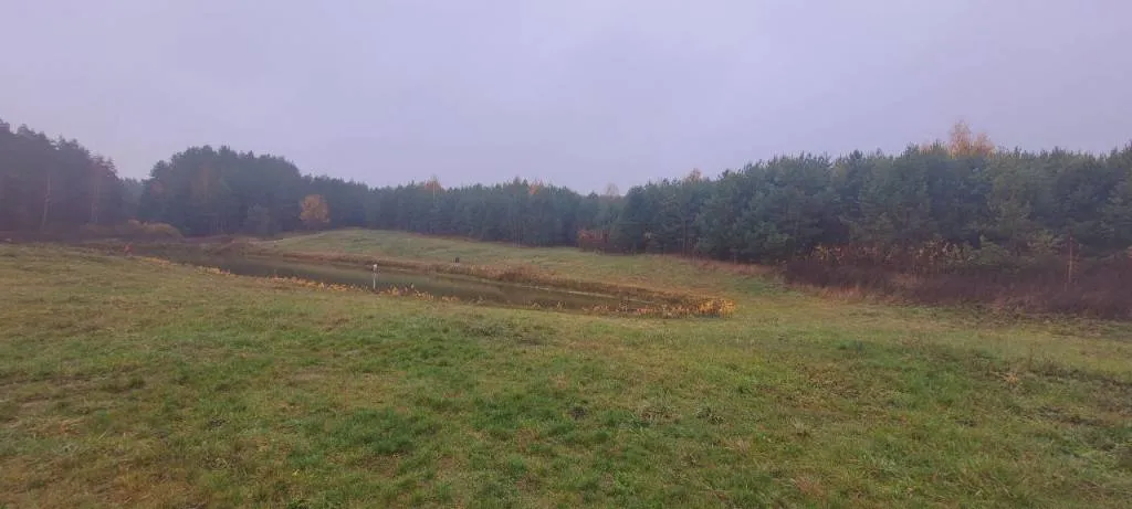 VARĖNOS R. SAV., TETERVINĖS K., ŽEMĖS ŪKIO PASKIRTIES SKLYPAS