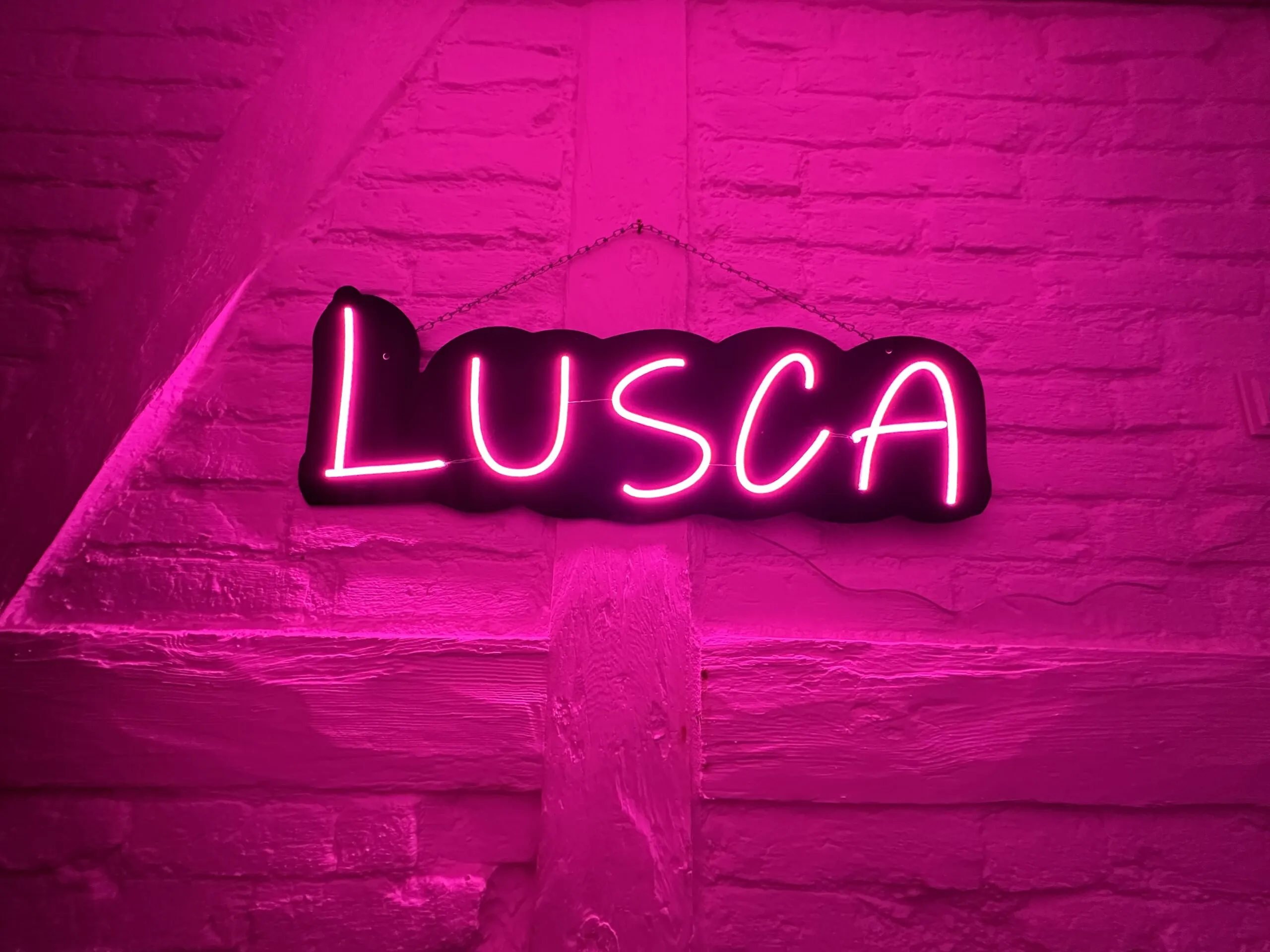 Led neon gamyba