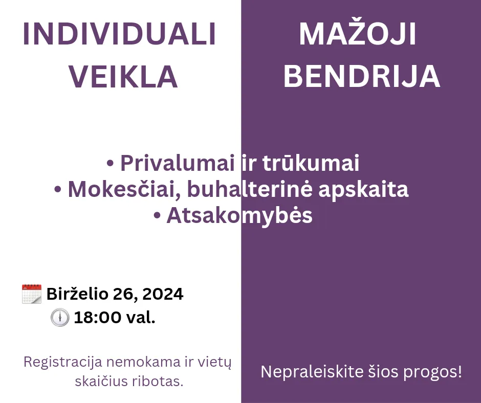 Vebinaras: individuali veikla ar mažoji bendrija.