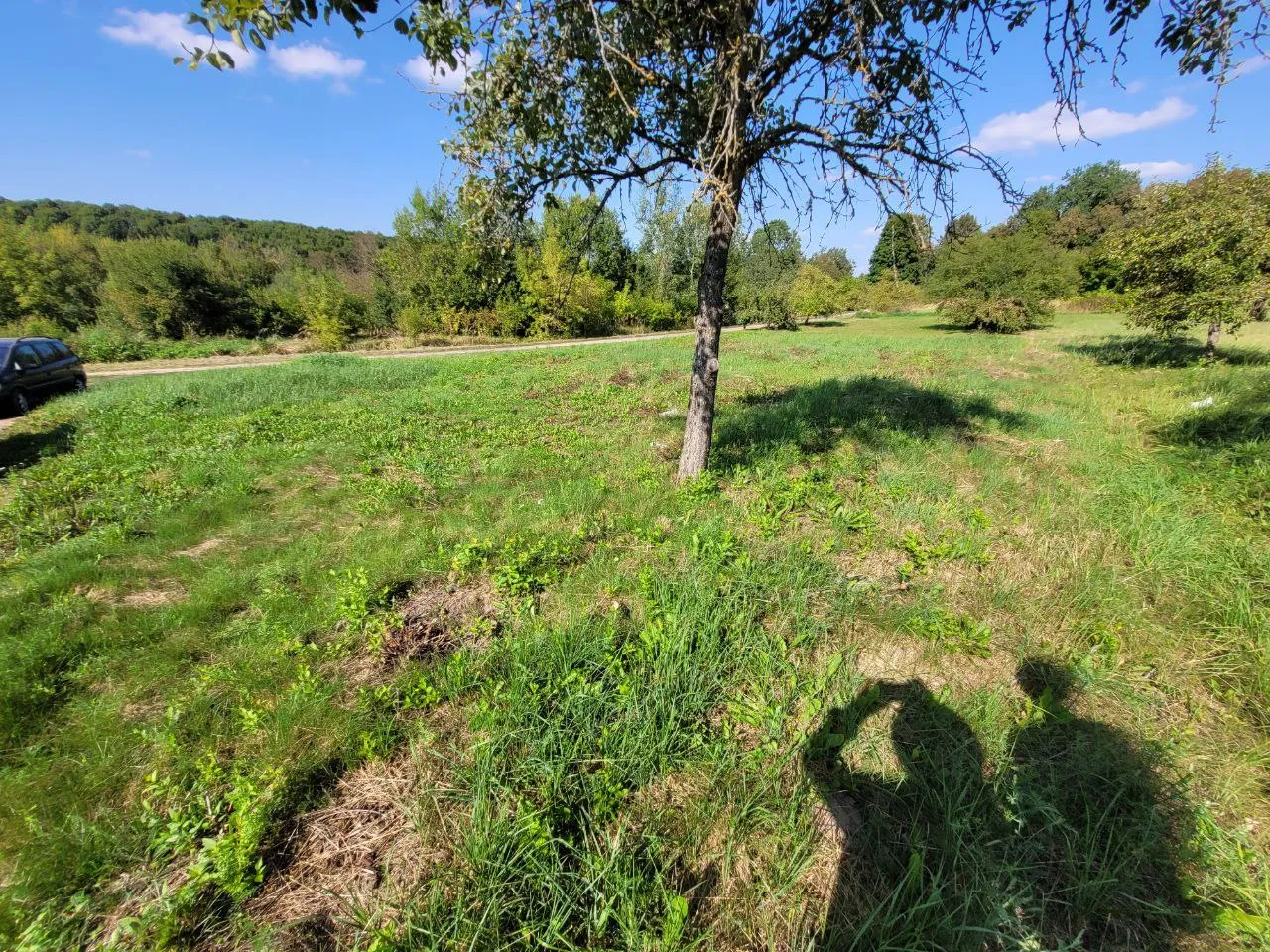 Parduodamas 6a sklypas Kupiškio rajone
