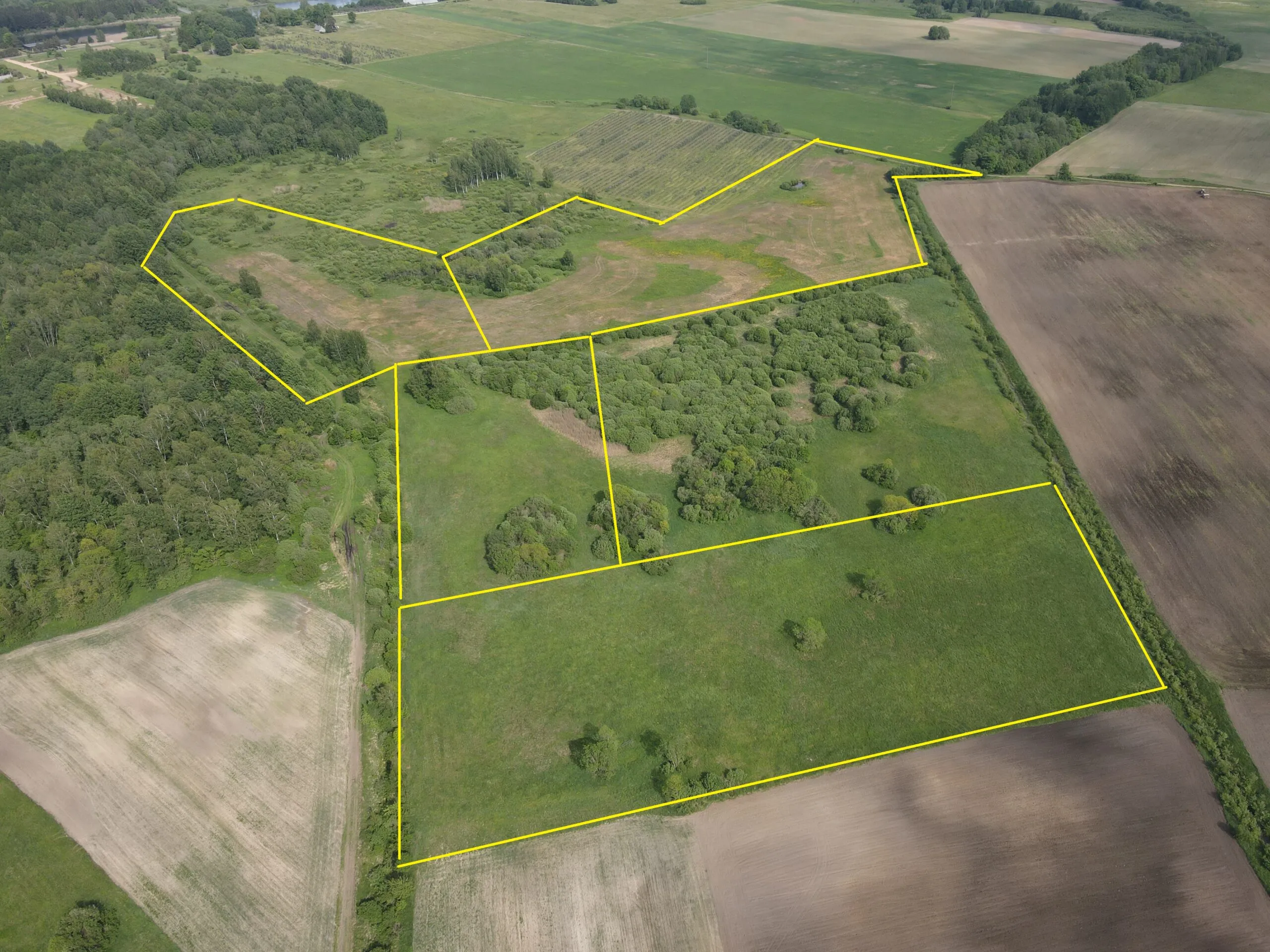 9,7428 HA ŽEMĖS SKLYPAS ŠIRVINTŲ R. SAV., JAUNIŪNŲ SEN., MEDŽIUKŲ K.