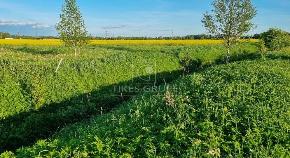 Parduodamas namų valdos sklypas – puiki investicija GRETA GARGŽDŲ (Kuliškiai)!
