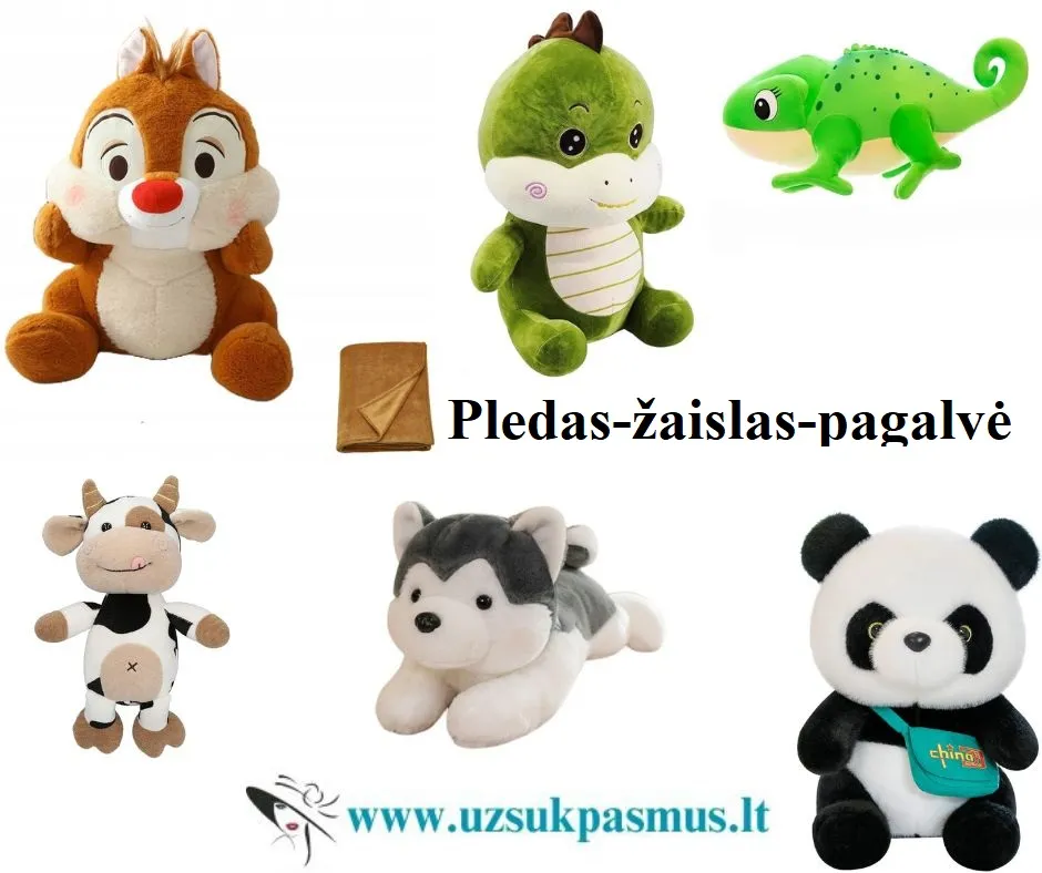 3 viename - pledas, žaislas, pagalvė