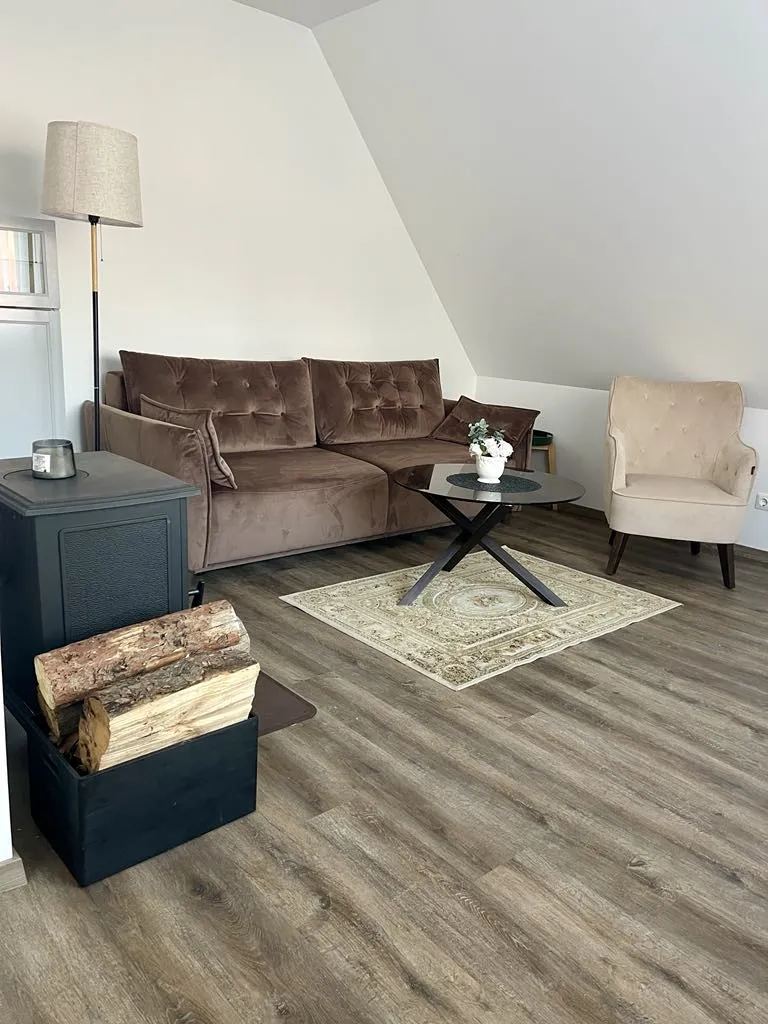 Išnuomojamas 1 kambario butas Klaipedos centre