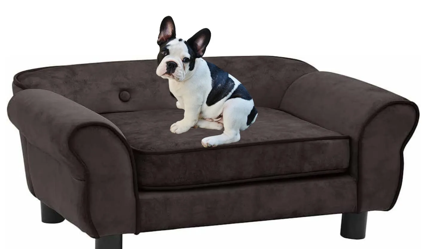 Augintinių sofa/guolis.