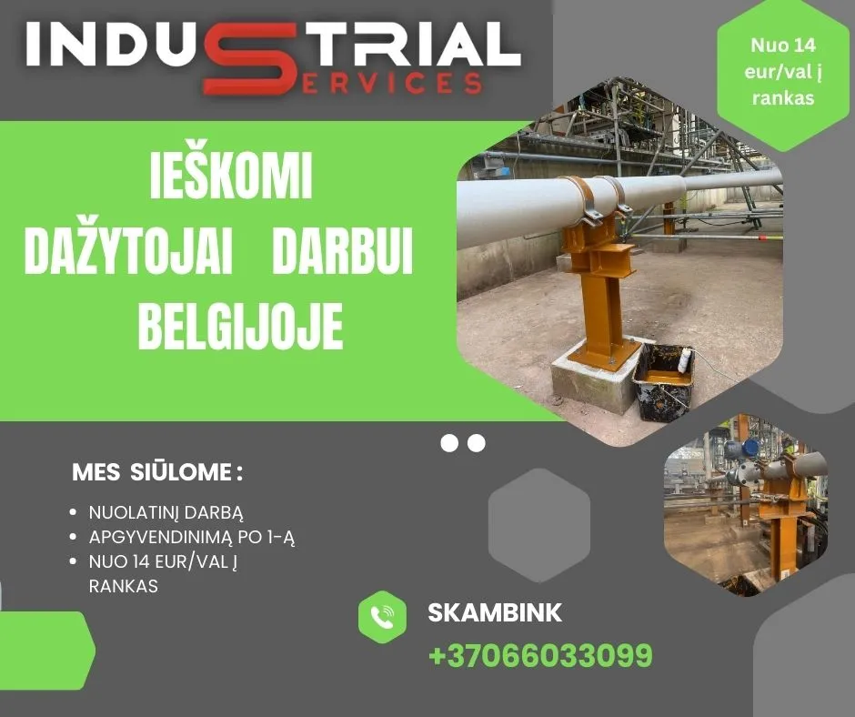Ieškomi dažytojai