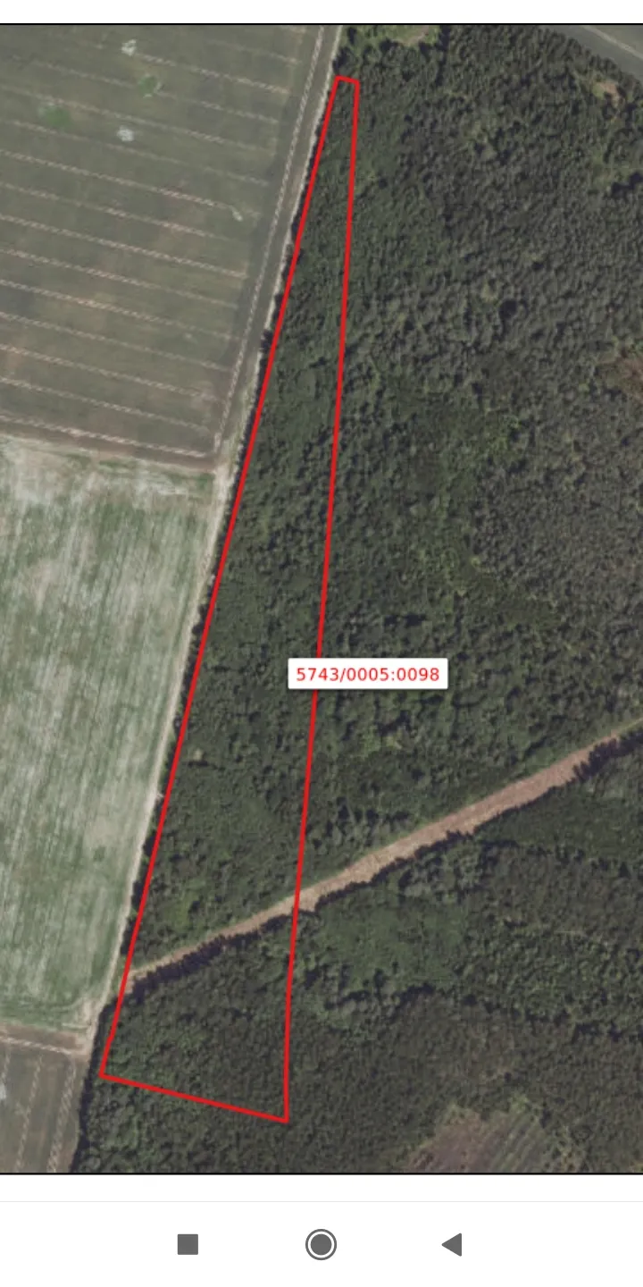 Parduodamas miškas 6.46ha.