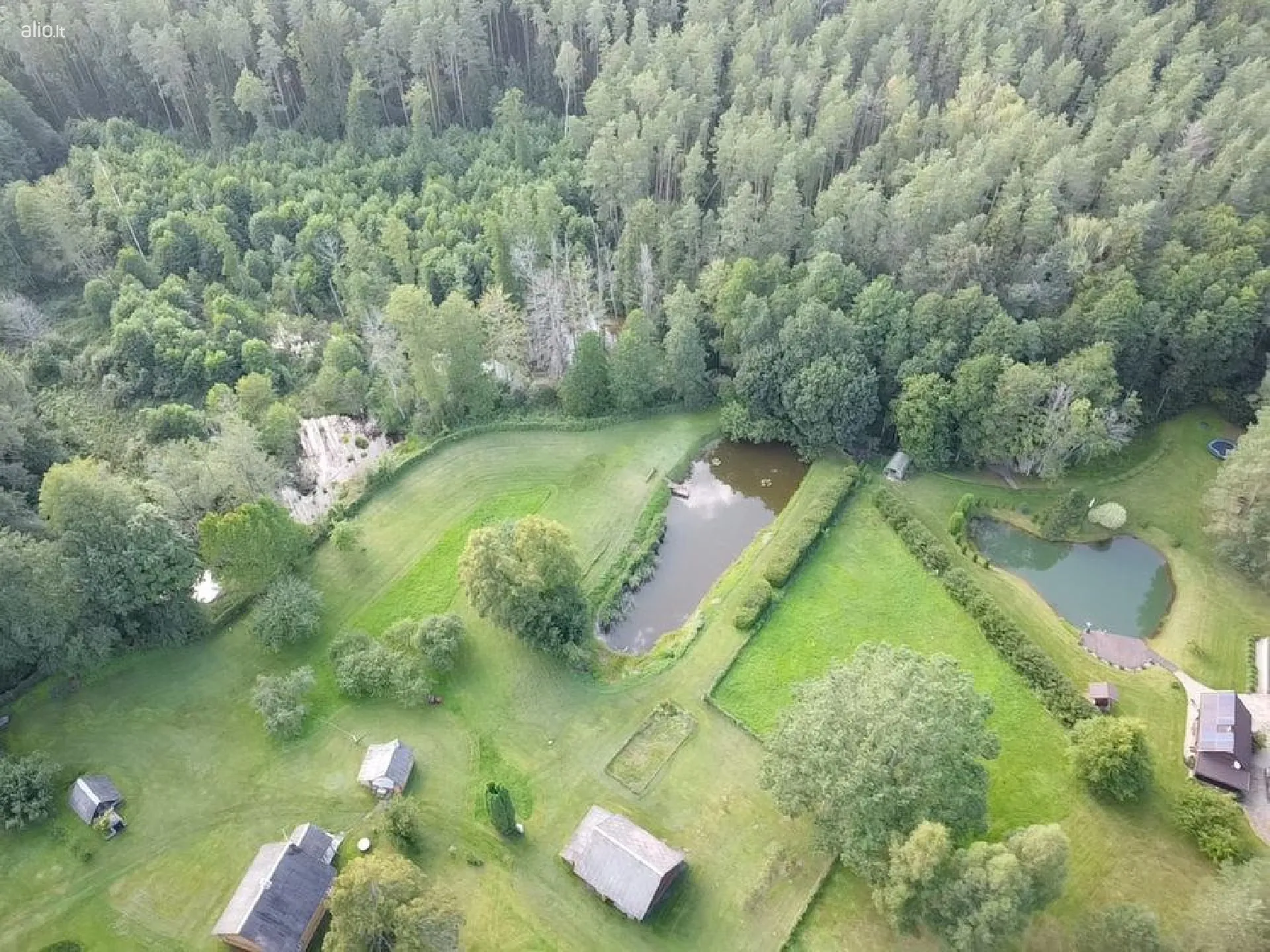 Parduodamas 9.8 ha miško sklypas Kauno raj, Zapyškio sen.