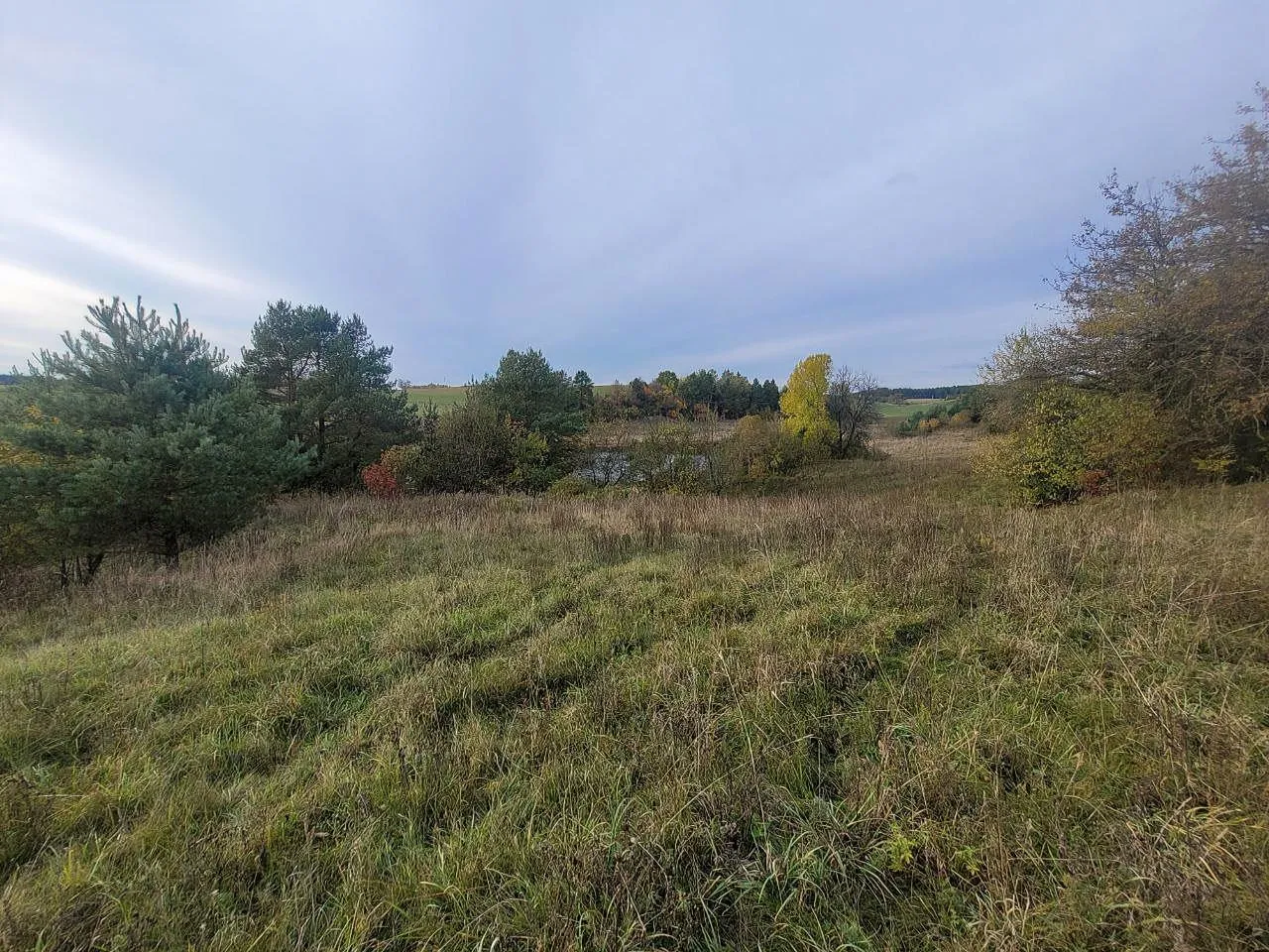 Parduodamas 1,808 ha žemės ūkio paskirties sklypas Varėnos r., Kucakiemio k., prie Sidariškių ežero.