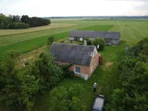 Miniatiūra