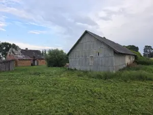 Miniatiūra