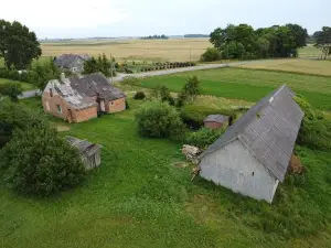 Miniatiūra