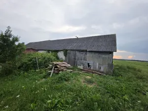 Miniatiūra
