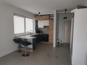 Miniatiūra