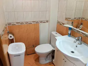 Miniatiūra